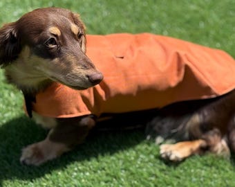 Waterproof Dachshund Winter Coat: Fleece Lined, Harness Hole