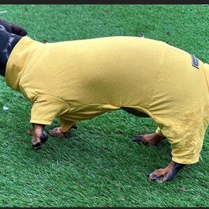 May include: A mustard yellow dog bodysuit with short sleeves and a high neck, featuring a small rectangular black label on the back near the tail. The garment is made of a soft, solid-colored fabric that covers the torso and upper legs of the dog.