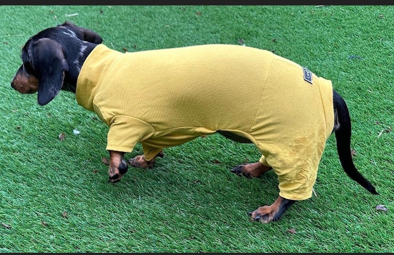 May include: A mustard yellow dog bodysuit with short sleeves and a high neck, featuring a small rectangular black label on the back near the tail. The garment is made of a soft, solid-colored fabric that covers the torso and upper legs of the dog.