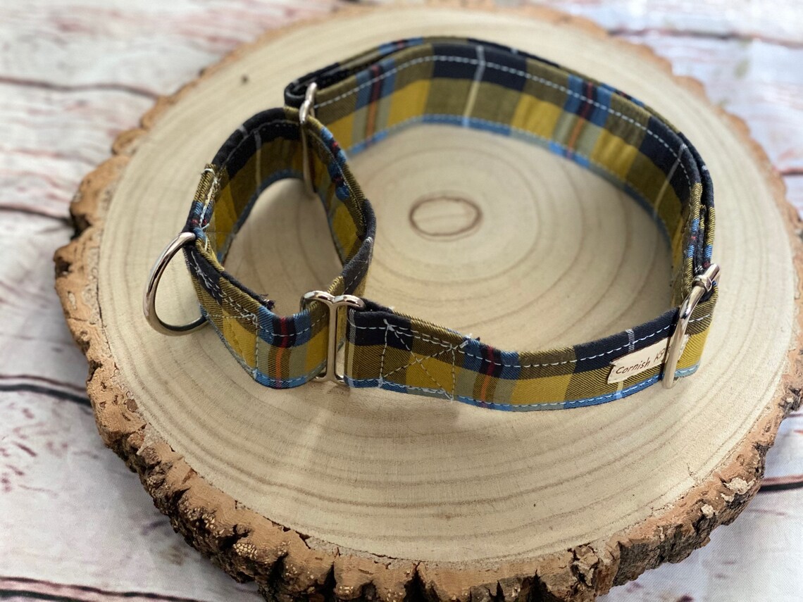 Cornish Tartan Dog Collar Martingale Dog Collar whippet Etsy UK