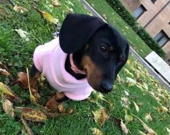 Water-Resistant Dachshund Fleece Jumper: Warm Puppy Coat