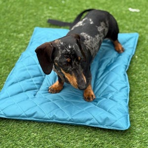 Waterproof quilted dog travel mat ,dog roll mat ,crate mat,dachshund picnic mat,settle mat