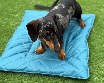 Waterproof Quilted Dog Travel Mat: Roll-Up Picnic Pad