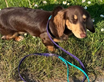 Waterproof Biothane Dog Collar & Lead Set: Small Breed, Quick Release