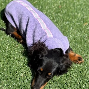 Dachshund reflective fleece ,dog jumper,dachshund jumper ,dachshund jacket,washable dog jumper, dachshund fleece