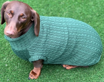 Dackel Pulli Zopfmuster,Top für kleine Hunde,Dachshund Pulli,Dachshund Pulli,Zopfmuster