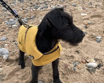 Mustard Waterproof Dachshund Dog Coat: Fleece Lined, Harness Hole