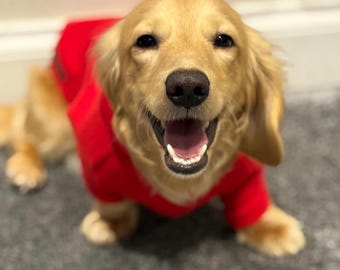 Water & Mud Repellent Dachshund Fleece Hoodie: Front Leg Jumper