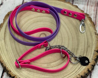 Waterproof Biothane Dog Collar & Lead Set: Silver Hardware, Small (11-13 inch neck)
