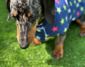 Dachshund Fleece Dog Coat: Navy Star Print, Water Repellent