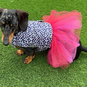 Dachshund Tutu Dog Dress: Custom Fit Cotton Tunic