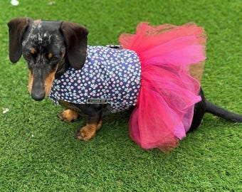 Dachshund Tutu Dog Dress: Custom Fit Cotton Tunic