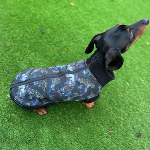 Dachshund Dinosaur Print  Jumper Zipped Softshell jacket , Water Resistant