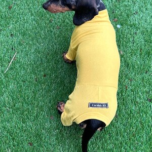 May include: A mustard yellow dog sweater with a high neck and short sleeves, featuring a small black rectangular label on the back with the white text Cornish K9. The garment is worn by a black and brown dapple dachshund with short fur.