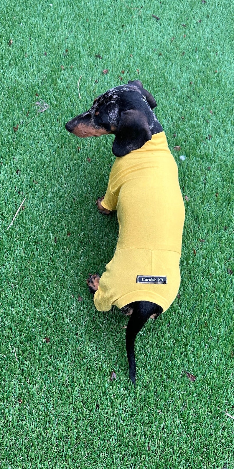 May include: A mustard yellow dog sweater with a high neck and short sleeves, featuring a small black rectangular label on the back with the white text Cornish K9. The garment is worn by a black and brown dapple dachshund with short fur.