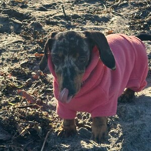 May include: A black and brown dachshund wearing a pink fleece jumpsuit. The dog is standing on a sandy beach and has its tongue sticking out.