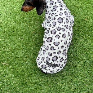 Pu&ograve; includere: Un bassotto bianco e nero che indossa un maglione per cani in pile bianco con stampa leopardata grigia. Il maglione ha un'etichetta nera che dice "Cornish K9".