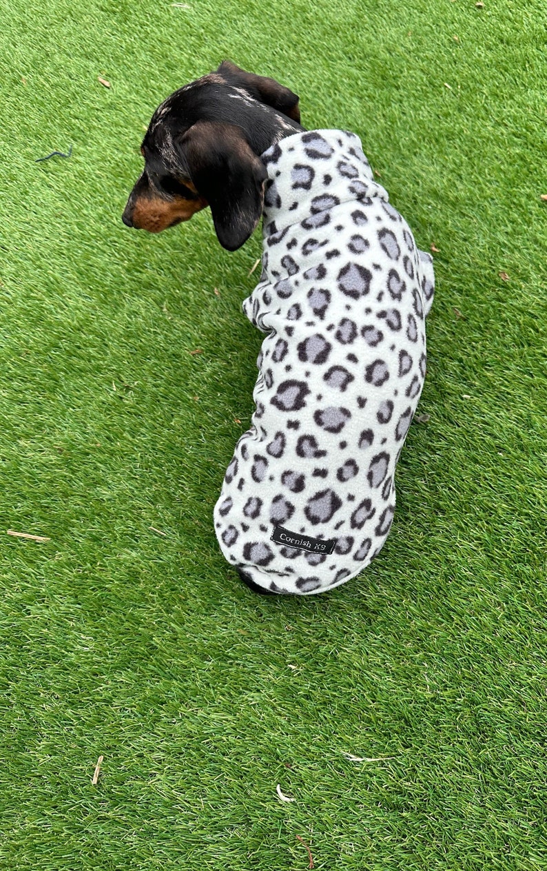Pu&ograve; includere: Un bassotto bianco e nero che indossa un maglione per cani in pile bianco con stampa leopardata grigia. Il maglione ha un'etichetta nera che dice "Cornish K9".