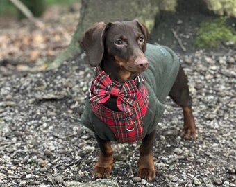 Tartan Dachshund Harness Set: Padded Fleece, No-Choke Design