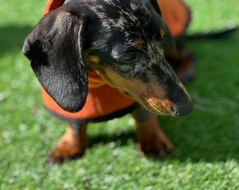 Dachshund fleece coats