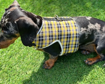 Cornish Tartan Dachshund Harness: Fleece Lined, No-Rub Design