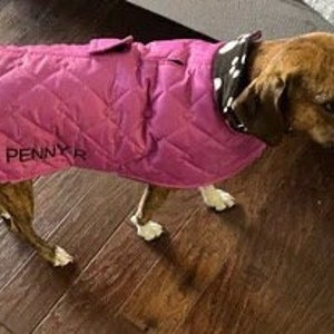 Dachshund quilted cerise dog coat, waterproof dog coat, shower proof dog coat ,winter dog coat , pet accessories, dog jacket