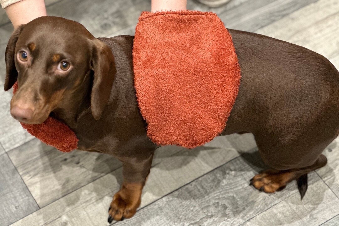Dog Drying Mitts ,dog Drying Towel,dog Drying Glove ,dog Drying Coat