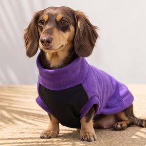 Waterproof Softshell Tummy Panel Jumper for Dachshunds – Cozy Fleece Coat with Adjustable Neck