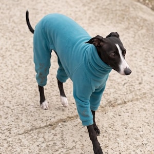 May include: A black and white Italian Greyhound dog wearing a teal blue fleece jumpsuit with a high turtleneck collar and long sleeves that cover the torso and legs, featuring a small embroidered detail on the lower leg section of the garment.