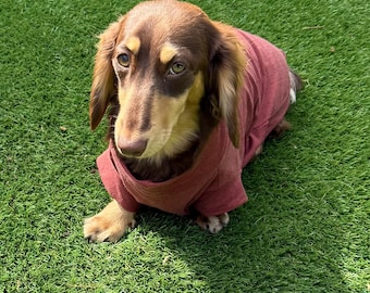 Bamboo Dachshund T-Shirt: Anti-Allergy Cooling Dog Top