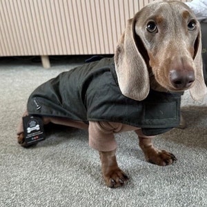 Waxed Cotton Dachshund Dog Coat: Waterproof Fleece Lined Winter Wear