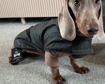 Waxed Cotton Dachshund Dog Coat: Waterproof Fleece Lined Winter Wear