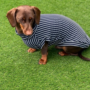 Dackel Streifen Jersey Pullover: Waschbares Hunde T-Shirt