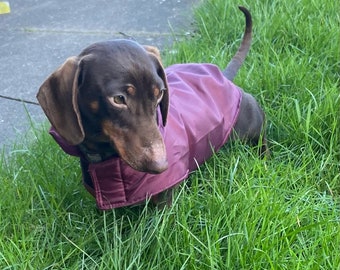 Dachshund lightweight waterproof  coat, mud replacement dog coat ,spring dog coat ,small dog coat