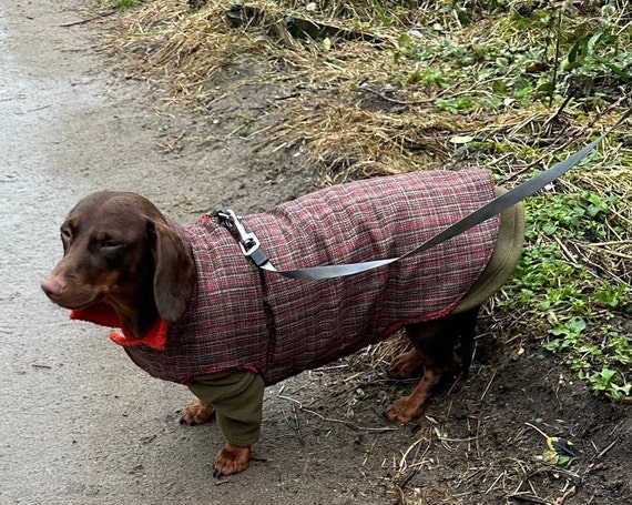 Manteau pour petit chien hotsell