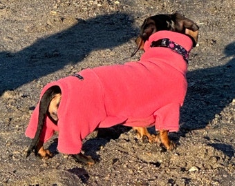 Miniature Dachshund Fleece Onesie: Water Repellent Dog Jumpsuit