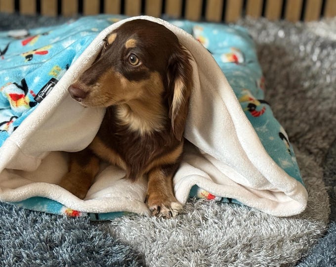 Featured listing image: Christmas Penguin Fleece Dog Snuggle Sack: Padded Dachshund Bed