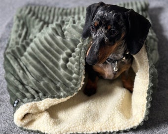 Jumbo cord  dog snuggle sack ,Pet snuggle sack, puppy warmer,dachshund snuggle sack ,fleece blanket