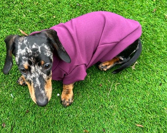 Ribbed Dachshund Jumper: Spandex Ottoman Knit, Washable Dog Sweater
