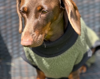 Boucle Fleece Dachshund Onesie: Cozy Small Dog Jumper