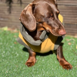Dachshund open neck  Fleece ,dachshund  tankies, dog jumper, dog fleece ,washable dog jumper,Water & Mud Repellent dog suit