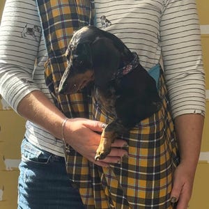 Dachshund sling  ,Dog sling carrier ,small dog sling bag , puppy sling carrier ,pet sling carrier ,Cornish tartan sling carrier