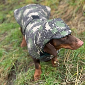 以下が含まれることがあります： 緑と白のしぶき模様の迷彩柄のフード付きジャケットを着た茶色と白の犬。犬は緑の草の上で立っている。