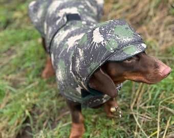 Waterproof Dachshund Softshell Dog Coat: Fleece Lined, Windproof