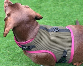 Made-to-Order Dachshund Harness: Army Green Spacer Mesh, No Armpit Rub