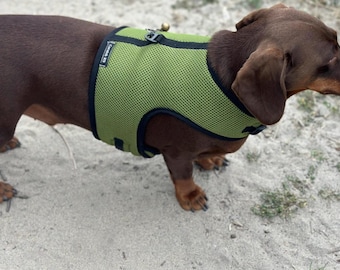 Dachshund Harness: Green Spacer Mesh, No-Rub Design