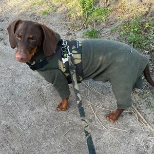 Dachshund Fleece suit ,dog coat, breathable dog jumper, dog onesie,washable dog jumper,Water & Mud Repellent dog suit
