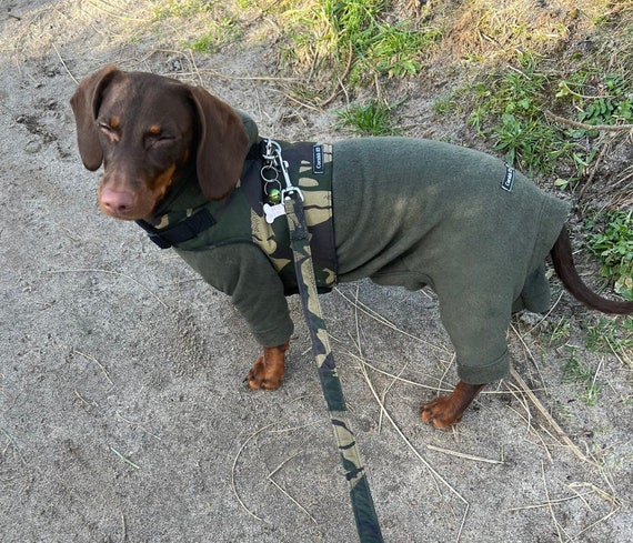 Dachshund onesie for clearance dogs
