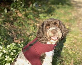 Made-to-Measure Corduroy Dog Harness: Fleece Lined, Adjustable Fit