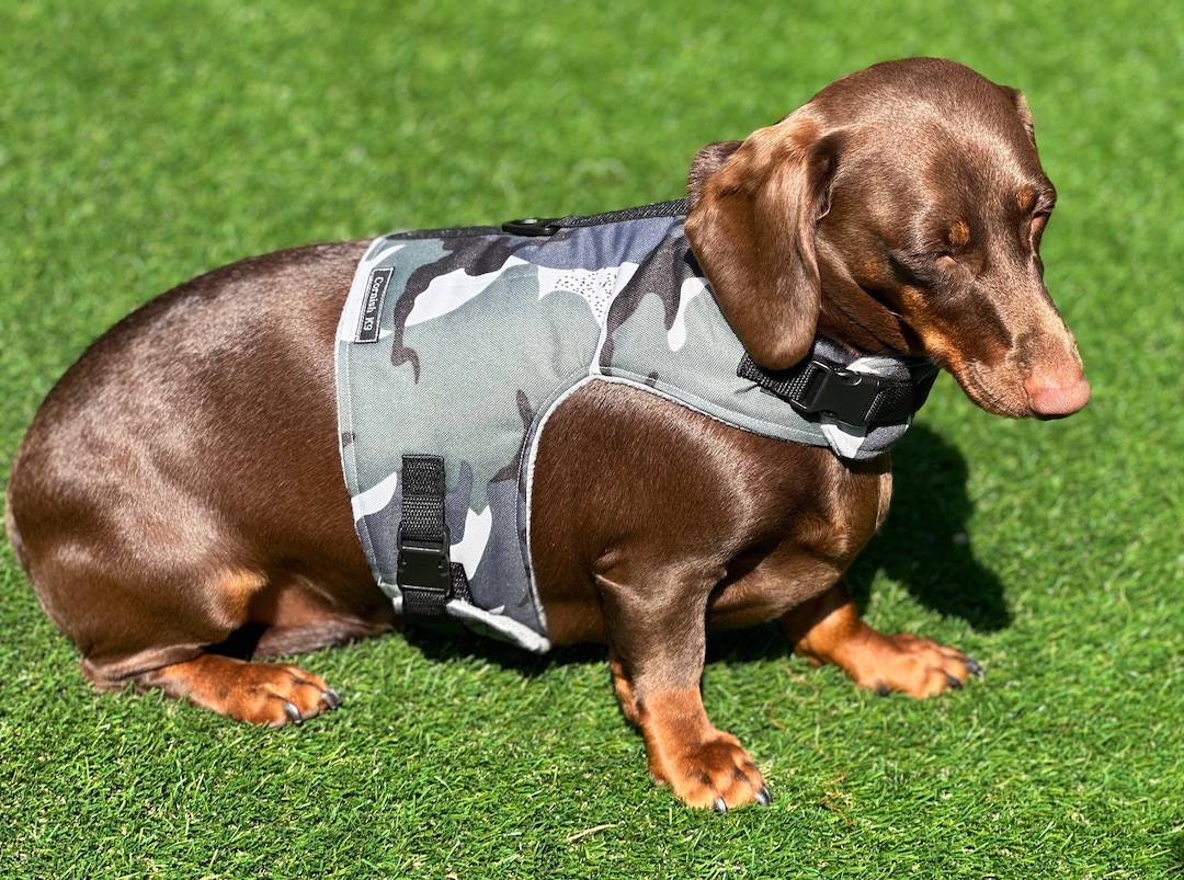 camouflage dog vest